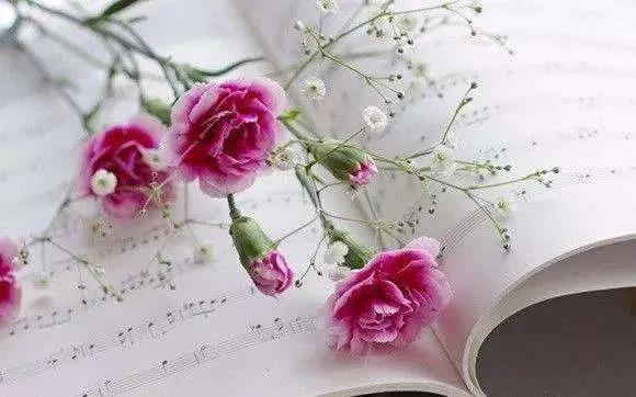 1589788740366587.jpg 3.jpg