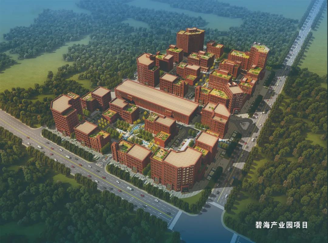 1590392503622325.jpg 10.jpg