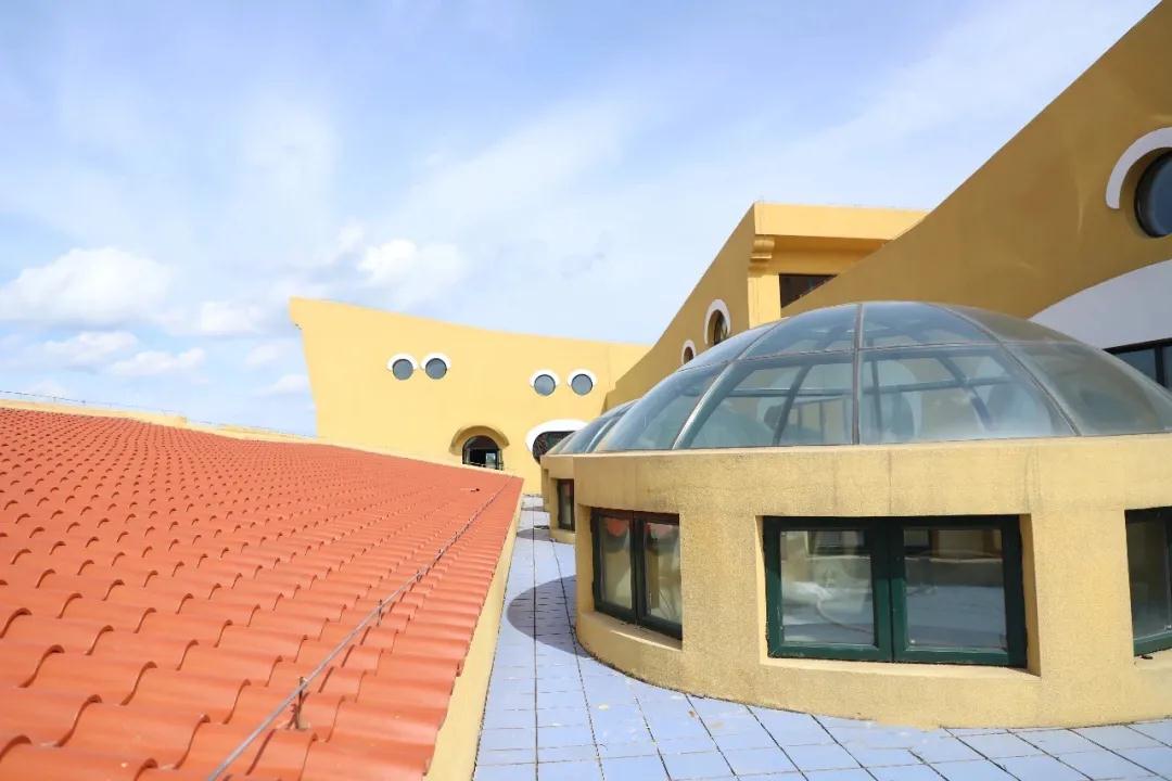 1605079751238180.jpg 26.jpg